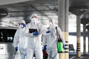 Des professionnels d’une entreprise de dératisation en pleine action.